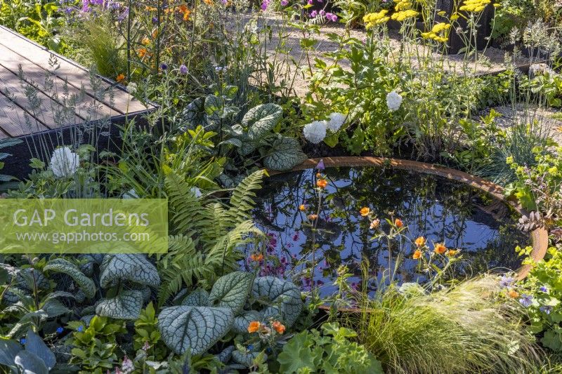 Reflective corten water bowl surrounded by flowering perennials and decorative foliage of Brunnera 'Jack of Diamonds' and ferns. June, Designer: Robert Moore