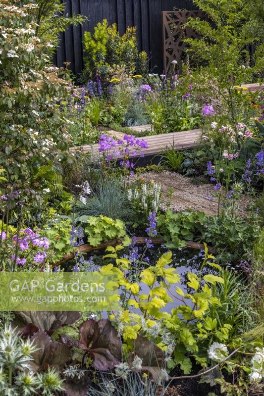 Perennial bed with a corten water bowl. Wooden and gravel boardwalks lead among flowering perennials and shrubs. June,  Designer: Robert Moore 