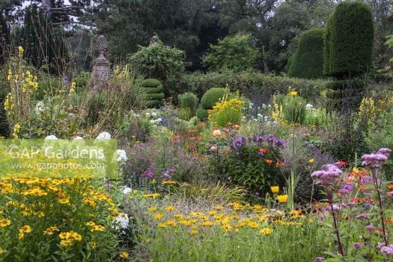 Mixed perennials and topiary in summer borders in the Flower Garden at The Manor, Little Compton.