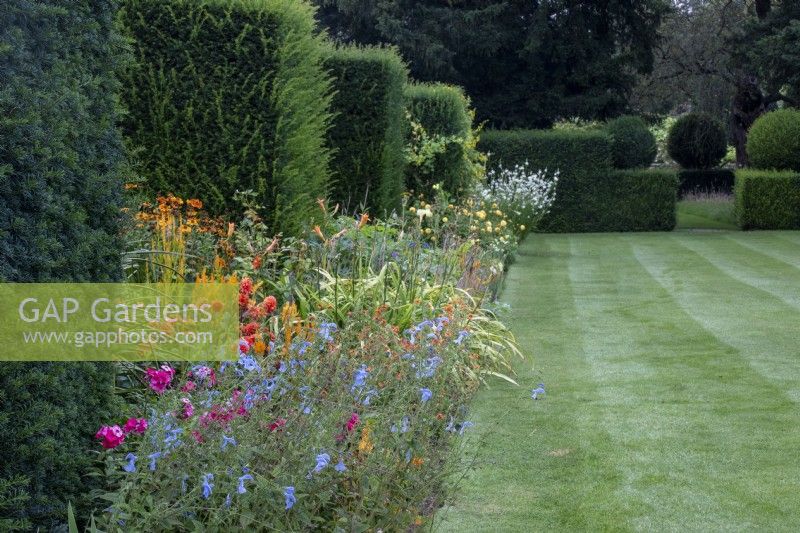 Clipped yew hedges divide The Palette colour-themed borders with mown lawn alongside at The Manor, Little Compton, Cotswolds