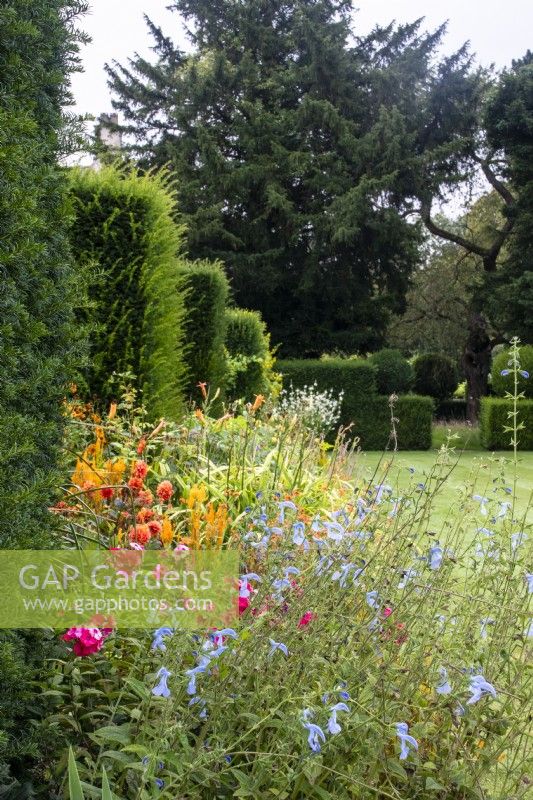 A view down The Palette colour-themed borders with clipped yew hedges at The Manor, Little Compton, Cotswolds