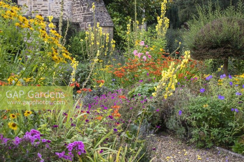 Summer borders at The Manor, Little Compton, with verbascum, phlox, crocosmia, geranium and helenium.