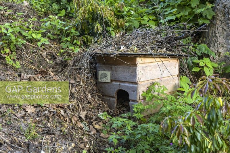 Wooden hedgehog house camouflaged with twigs in a woodland garden