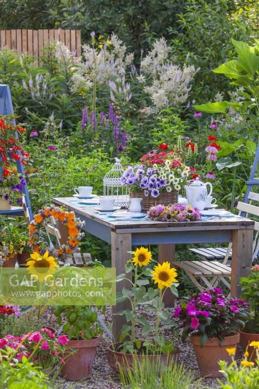 Outdoor dining area with table set for tea and containers planted with bedding flowers and herbs including Surfinia, Impatiens, basil, sunflowers, Verbena and others.