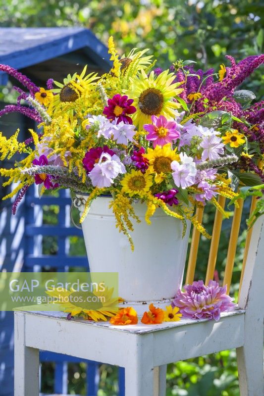A bucket full of summer flowers including Dahlia, Sunflovers, Amaranthus caudatus, Solidago, Agastache and Malva.