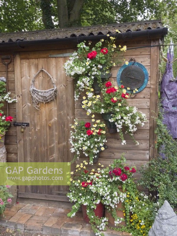 Hanging containers on wall of garden shed with summer bedding annuals