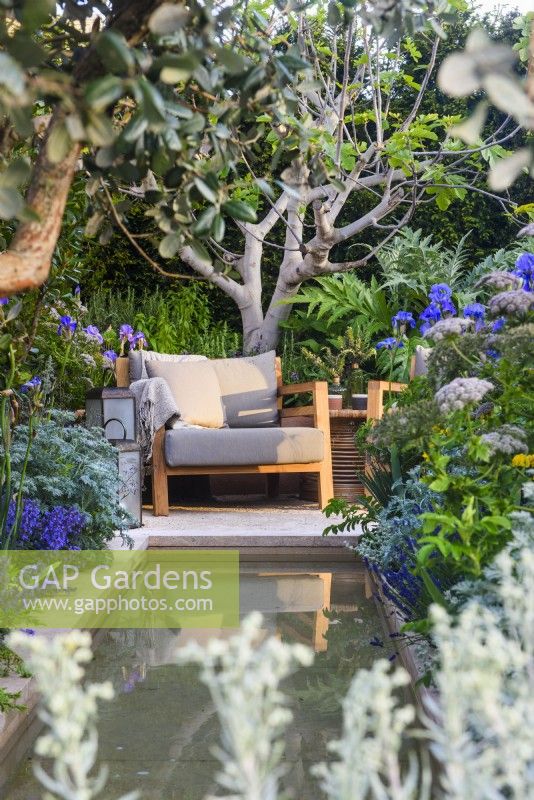 View across the water feature to secluded seating area with armchair  by architectural fig Ficus carica. Hamptons Mediterranean Garden, Designer: Filippo Dester Garden Club London, RHS Chelsea Flower Show 2023