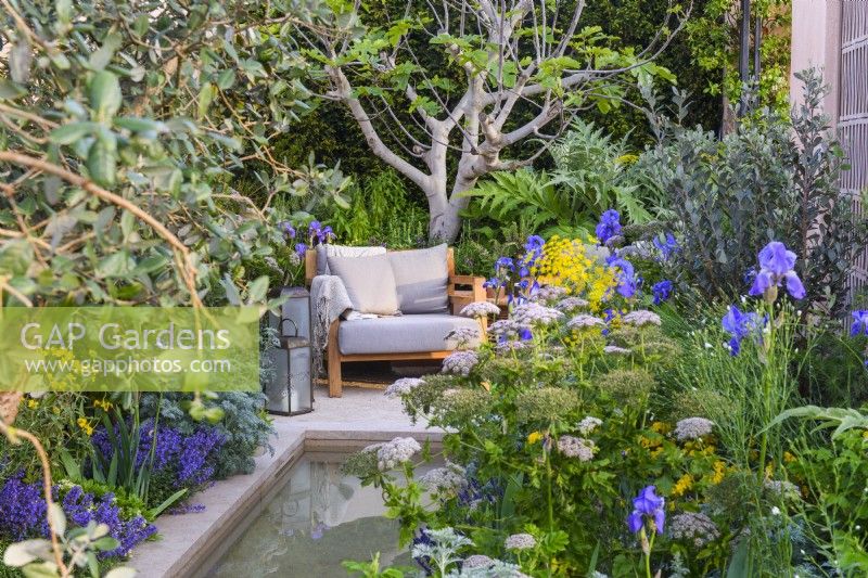Secluded seating area with armchair and lanterns surrounded by Melanoselinum decipiens, Irises, Nepeta, Artemisia and architectural fig Ficus carica. Hamptons Mediterranean Garden, Designer: Filippo Dester Garden Club London, RHS Chelsea Flower Show 2023