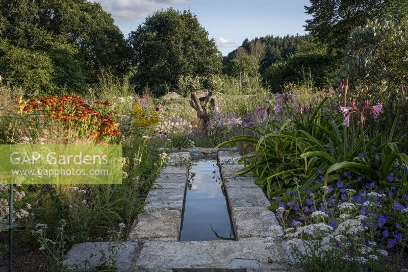 Rill and stream in summer walled garden, informal planting of drought tolerant plants in gravel