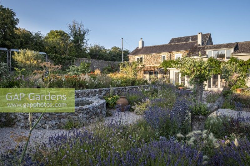 Small circular pond with stone sides in drought tolerant garden planted with Lavender, Pennisetum villosum and Fennel.  The Walled Garden at Staverton, Devon