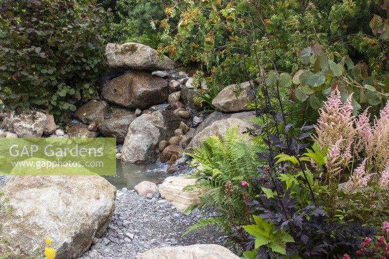 Boulders surround a shallow natural water feature with ferns and astilbe - The Oregon Garden - designer Sadie May Stowell - RHS Hampton Court Palace Garden Festival