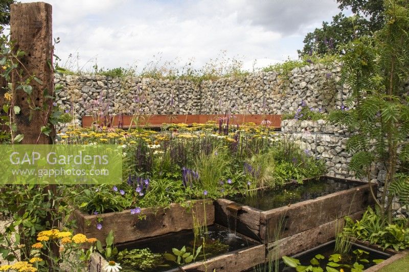 A sustainable garden with raised pools made from reclaimed sleepers, and a boundary wall made of gabions filled with stone offcuts. Pollinator friendly planting includes achillea and echinacea  - Caroline and Peter Clayton - Get Started Gardens - Nurturing Nature in the City, RHS Hampton Court Palace Garden Festival.