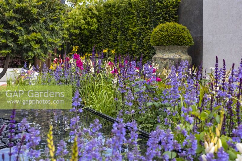 A colourful perennial bed planted with Nepeta and Salvia surrounds the water feature. A large ceramic pot with a yew ball in the background.  Designer: Kevin Dennis, Bord Bia Bloom 2023