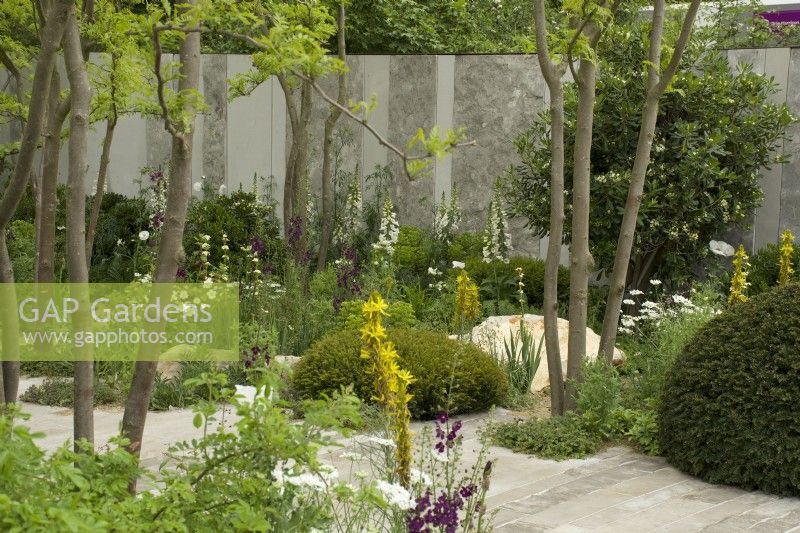 RHS Chelsea Flower Show 2023 - Borders  featuring perennial planting amongst Gleditsia trees - Memoria  and  GreenAcres Transcendence Garden designed by Gavin McWilliam and Andrew Wilson Silver-gilt