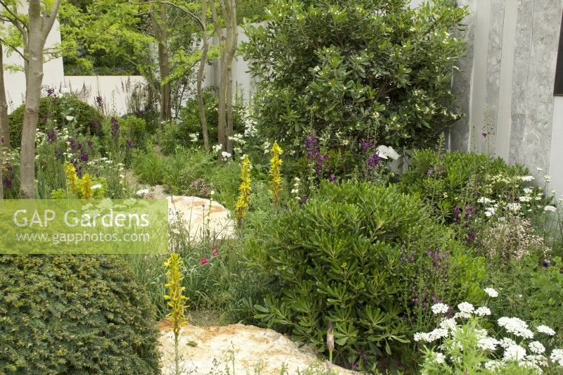 RHS Chelsea Flower Show 2023 - Beds featuring perennial planting - Memoria  and  GreenAcres Transcendence Garden designed by Gavin McWilliam and Andrew Wilson Silver-gilt