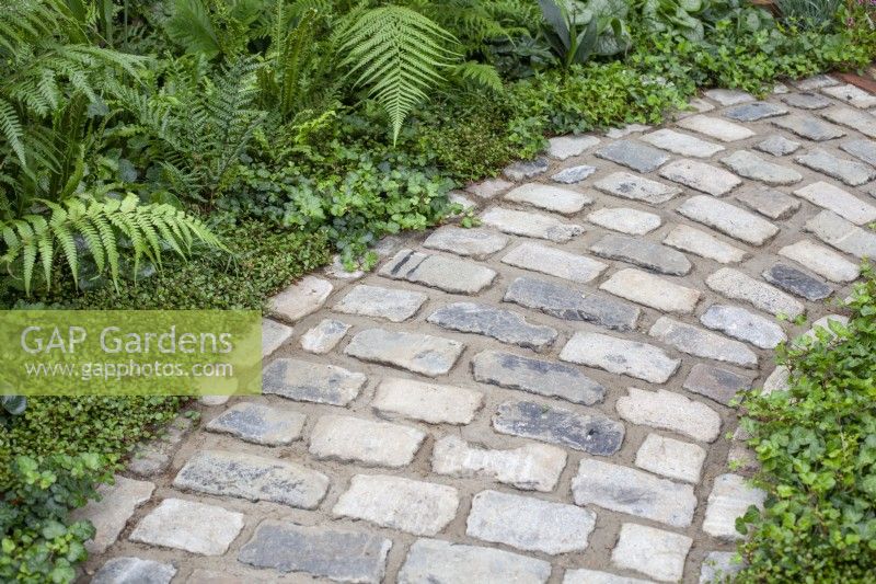 Brick path surrounded by ferns and lush underplanting, July