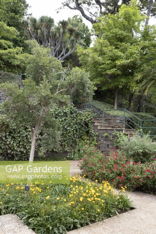 A view across a terrace at the Madeira Botanical Gardens. Summer. 