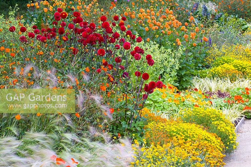 Bed with annuals, grasses and dahlias 