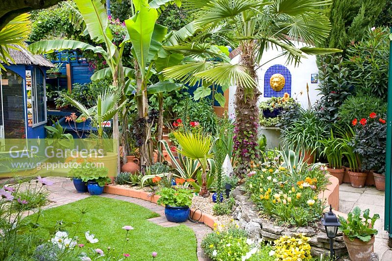 Garden with exotics 