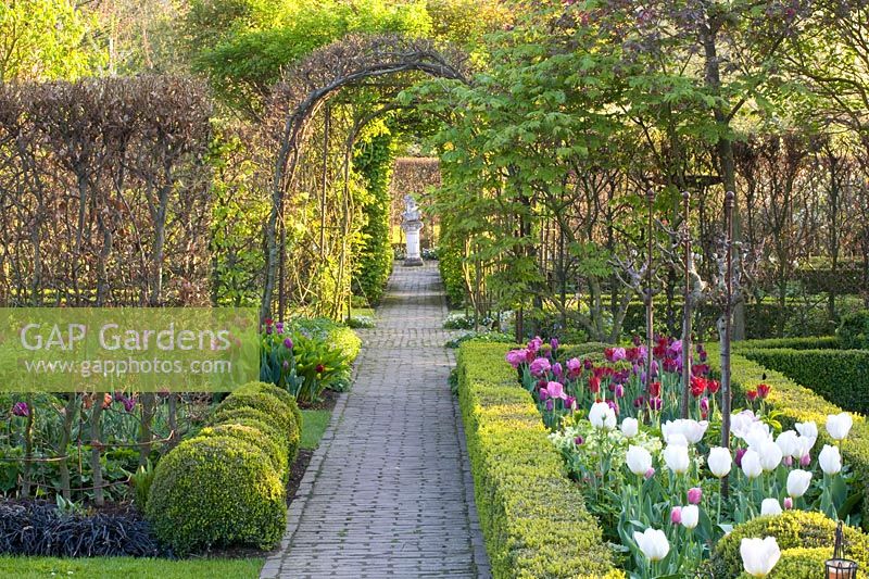 Formal garden with tulips 