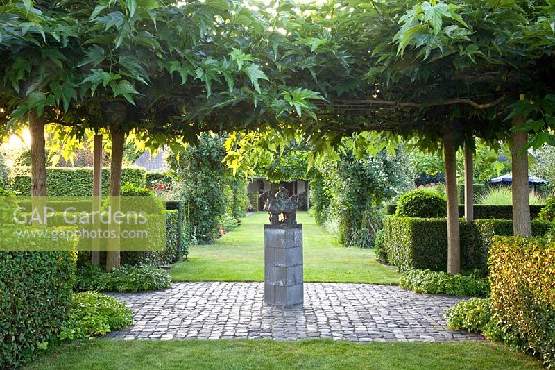 Formal garden with hedges and mulberry trees, Taxus, Morus alba Macrophylla 