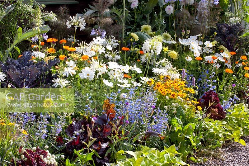Annuals, herbs and vegetables in the bed 