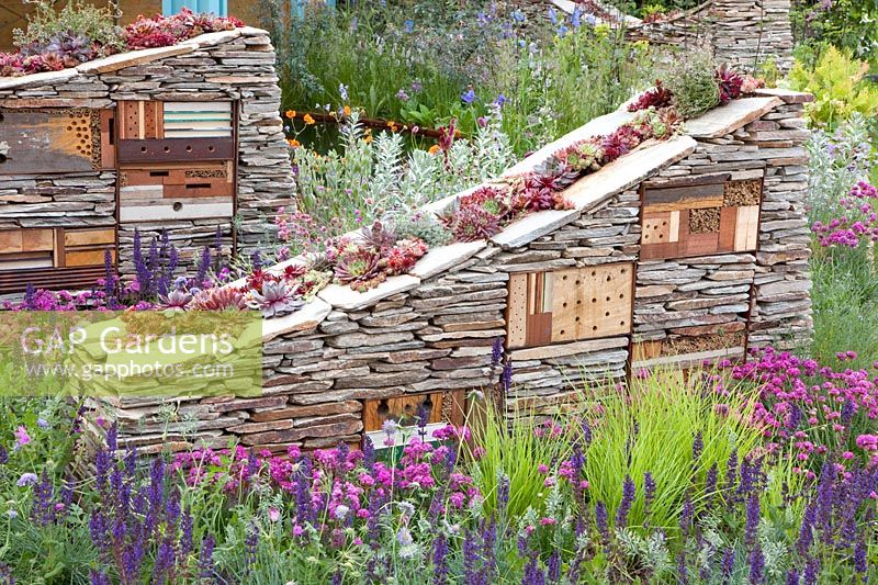 Natural garden with stone walls for insects 