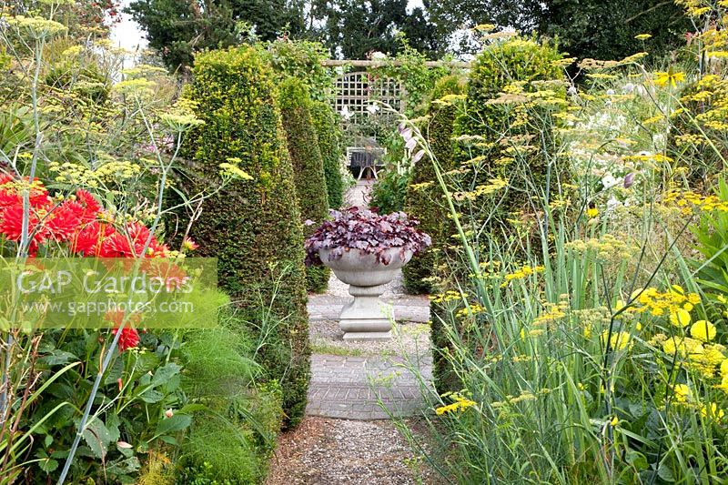 Garden with herbs and yew columns 