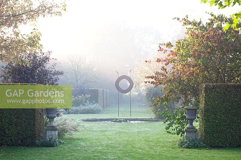 Fog in the garden 