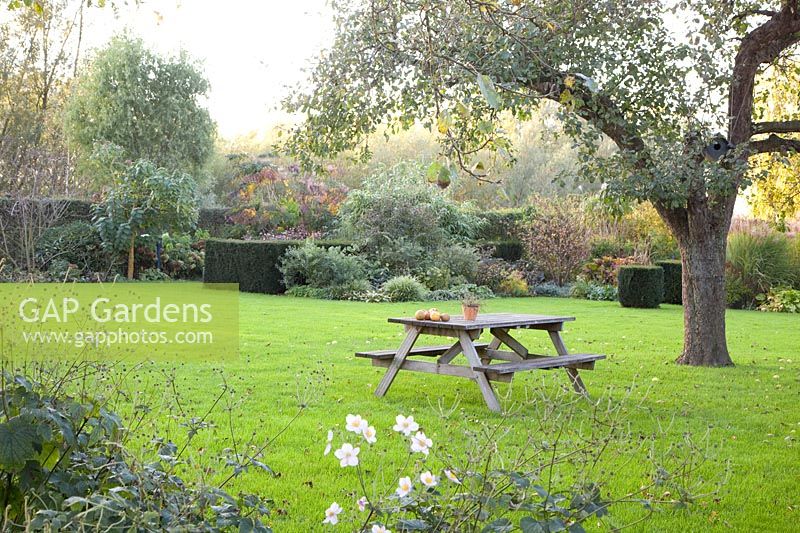 Seating area in the autumn garden, Malus domestica, Notaris apple 
