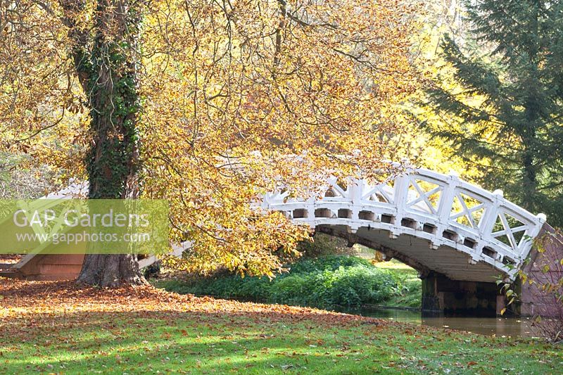 The Chinese Bridge in the Schwetzingen Palace Gardens 