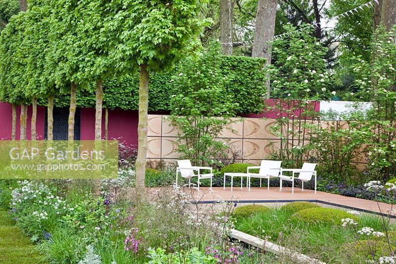 Modern garden with seating area and hedge made of field maple, Acer campestre 