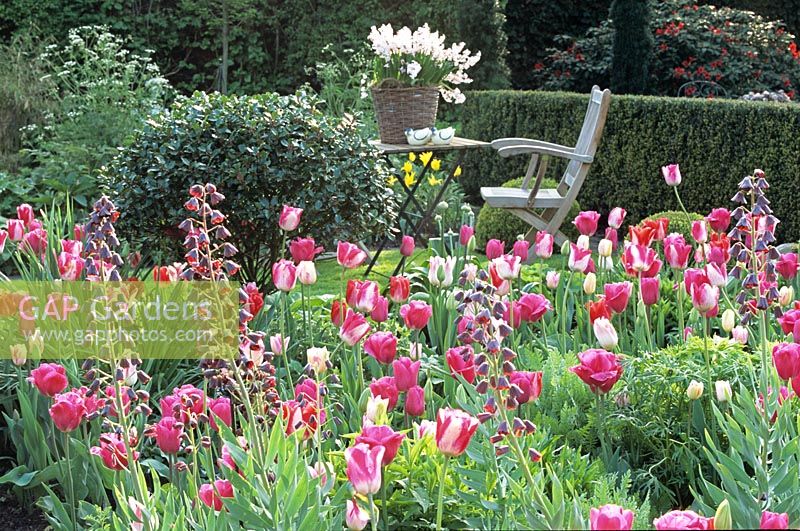 Seating area with tulips 