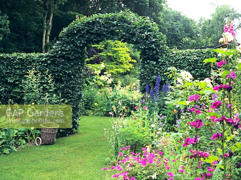 Hedge arch 