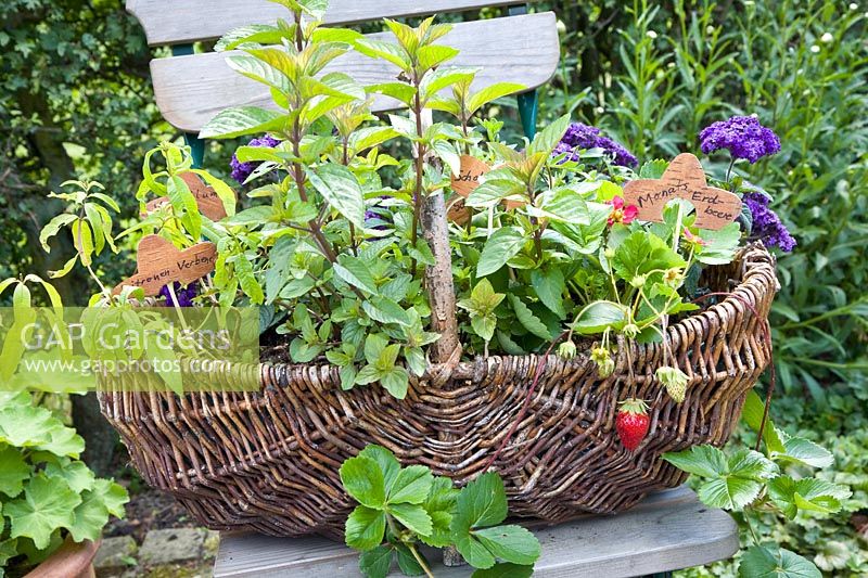 Basket with herbs and strawberries 
