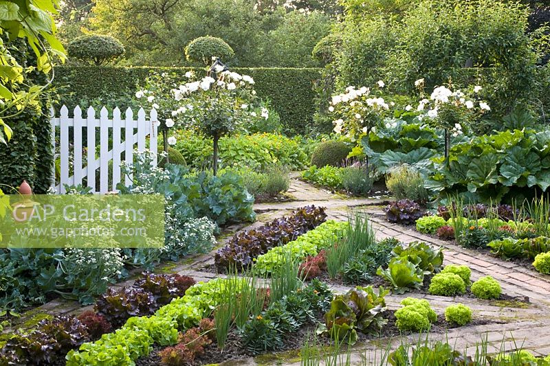 Decorative vegetable garden 
