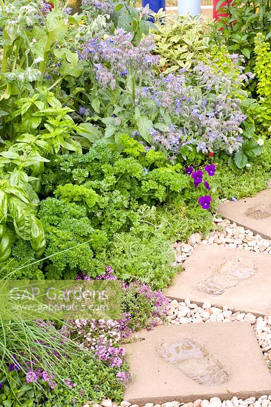 Herb garden with stepping stones 