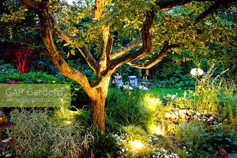 Seating area in the garden with lighting 