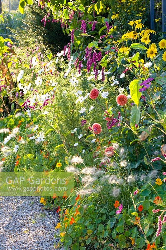 Underplanting with annuals 
