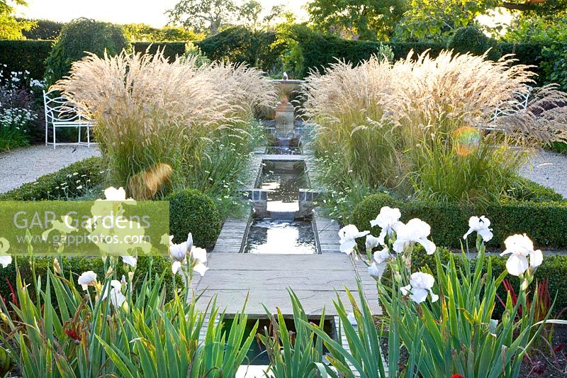 Garden with grasses and water basin, Molinia varia, Iris barbata Florentina 