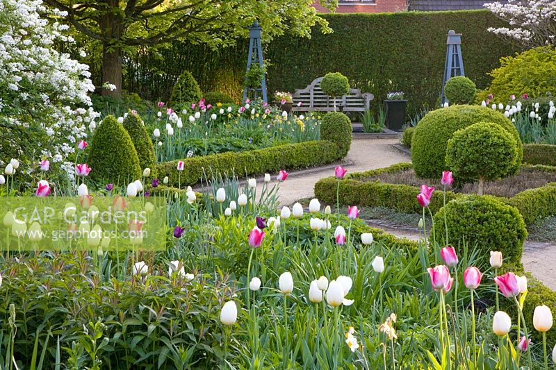 Formal garden with tulips 