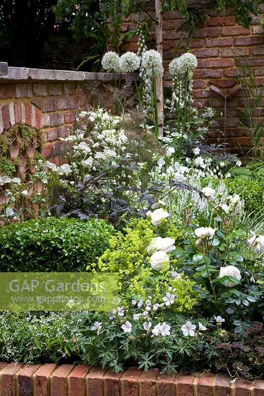 White Garden 