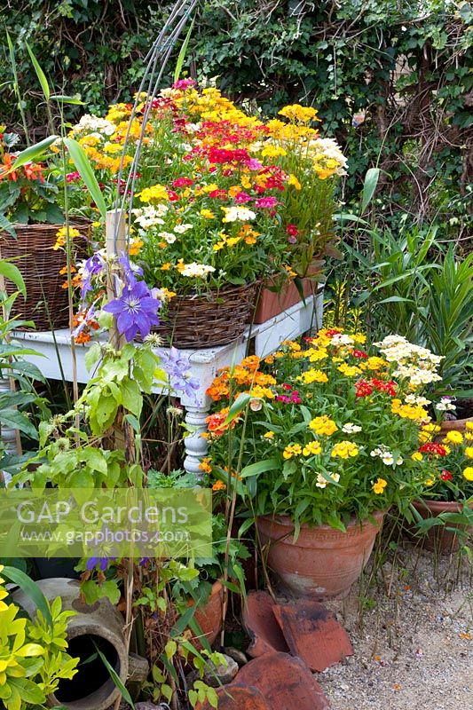 Pots with seasonal plants 