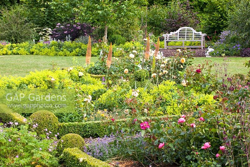 Bed with roses and perennials 