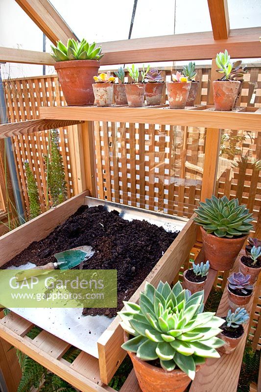 Potting place in the greenhouse 