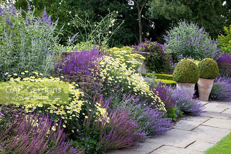Perennial bed in blue, yellow, purple 