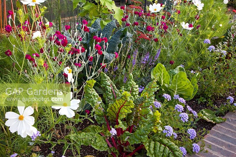Bed with vegetables, perennials and annuals 