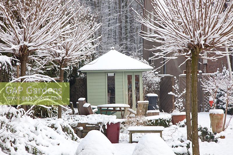 Garden with spherical robinias in snow 