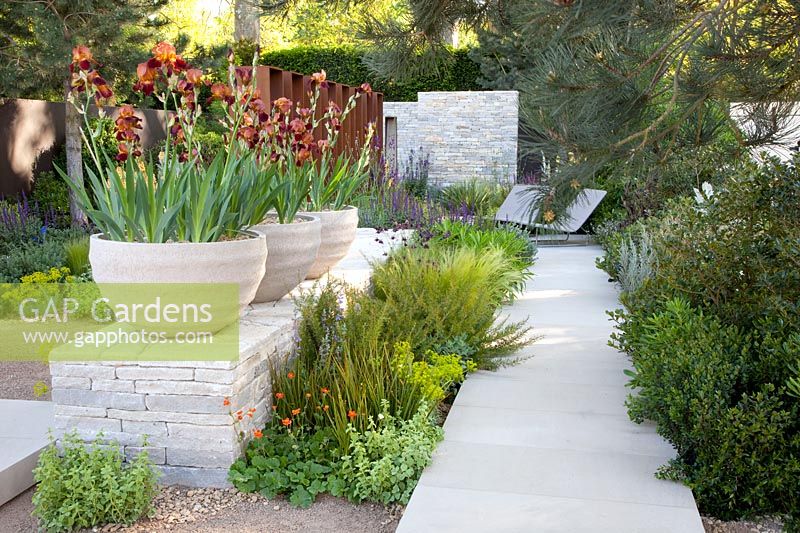 Mediterranean garden with iris 'Action Front' in pots 