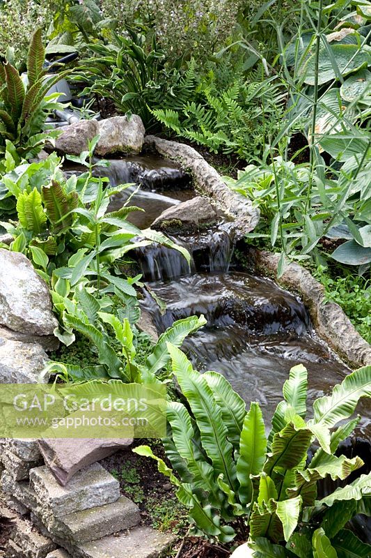 Small stream made of prefabricated elements with hart's tongue fern, Asplenium scolopendrium 
